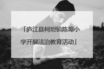 庐江县柯坦镇陈埠小学开展法治教育活动