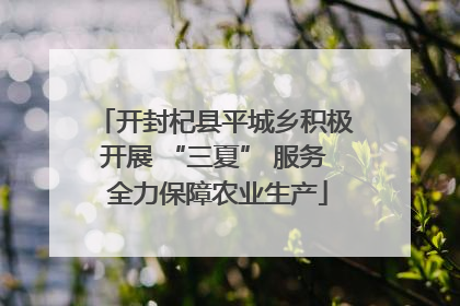开封杞县平城乡积极开展 “三夏” 服务 全力保障农业生产