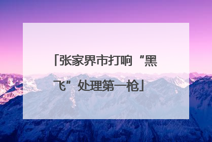 张家界市打响“黑飞”处理第一枪