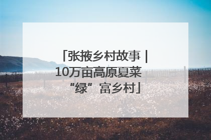 张掖乡村故事｜10万亩高原夏菜“绿”富乡村
