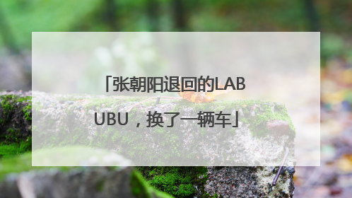 张朝阳退回的LABUBU，换了一辆车