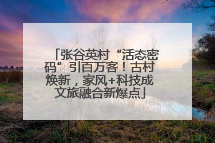 张谷英村“活态密码”引百万客！古村焕新，家风+科技成文旅融合新爆点