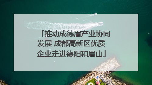 推动成德眉产业协同发展 成都高新区优质企业走进德阳和眉山