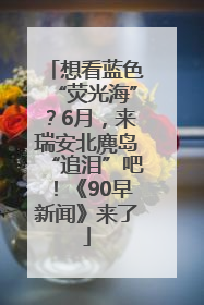想看蓝色“荧光海”？6月，来瑞安北麂岛“追泪”吧！《90早新闻》来了