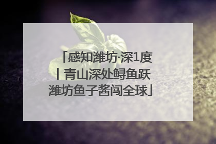 感知潍坊·深1度丨青山深处鲟鱼跃 潍坊鱼子酱闯全球