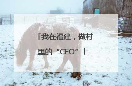 我在福建，做村里的“CEO”