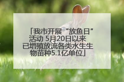 我市开展“放鱼日”活动 5月20日以来已增殖放流各类水生生物苗种5.1亿单位