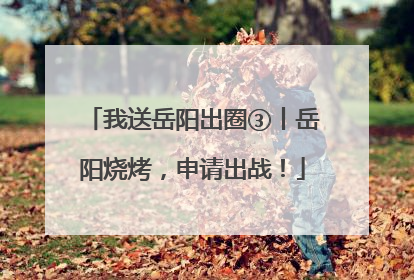 我送岳阳出圈③丨岳阳烧烤，申请出战！