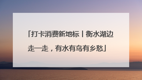 打卡消费新地标丨衡水湖边走一走，有水有鸟有乡愁