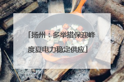 扬州：多举措保迎峰度夏电力稳定供应