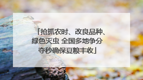 抢抓农时、改良品种、绿色灭虫 全国多地争分夺秒确保夏粮丰收
