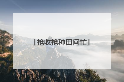 抢收抢种田间忙