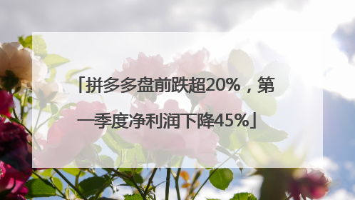 拼多多盘前跌超20%，第一季度净利润下降45%