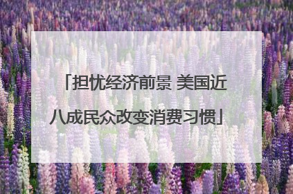 担忧经济前景 美国近八成民众改变消费习惯