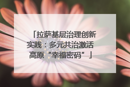 拉萨基层治理创新实践：多元共治激活高原“幸福密码”