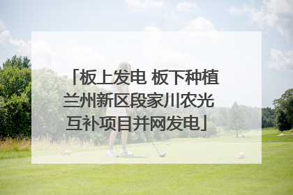 板上发电 板下种植 兰州新区段家川农光互补项目并网发电