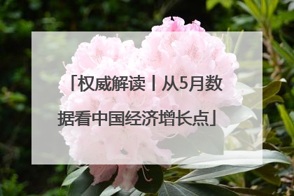 权威解读丨从5月数据看中国经济增长点