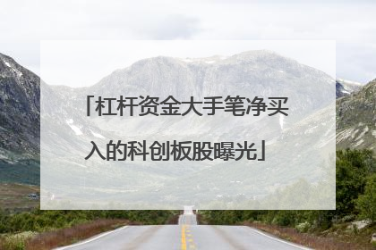 杠杆资金大手笔净买入的科创板股曝光