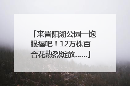 来晋阳湖公园一饱眼福吧！12万株百合花热烈绽放……