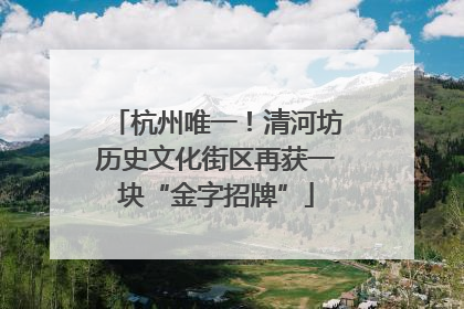 杭州唯一！清河坊历史文化街区再获一块“金字招牌”
