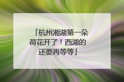 杭州湘湖第一朵荷花开了！西湖的还要再等等