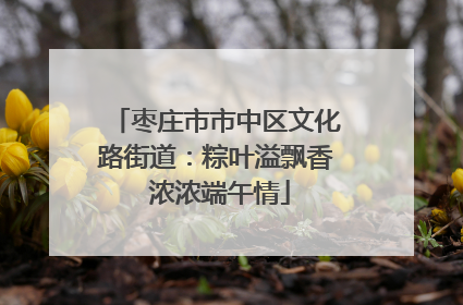 枣庄市市中区文化路街道：粽叶溢飘香 浓浓端午情