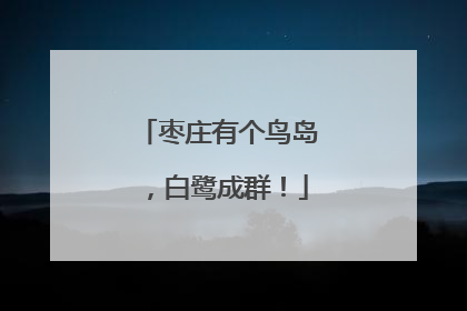 枣庄有个鸟岛，白鹭成群！