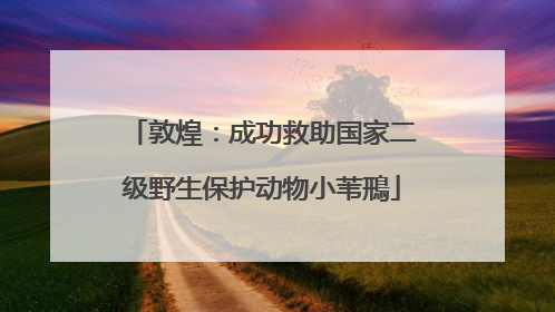 敦煌：成功救助国家二级野生保护动物小苇鳽