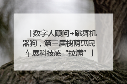 数字人顾问+跳舞机器狗，第三届槐荫惠民车展科技感“拉满”