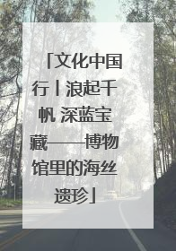 文化中国行丨浪起千帆 深蓝宝藏——博物馆里的海丝遗珍