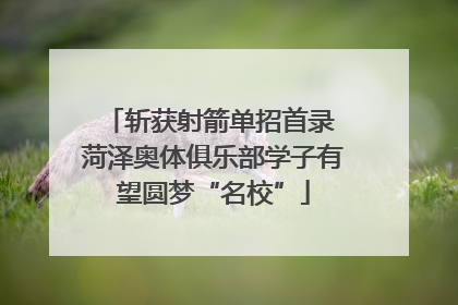 斩获射箭单招首录 菏泽奥体俱乐部学子有望圆梦“名校”