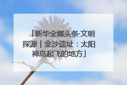 新华全媒头条·文明探源｜金沙遗址：太阳神鸟起飞的地方