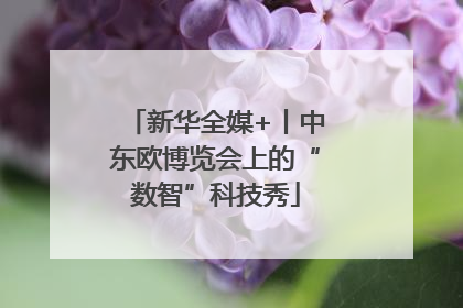 新华全媒+丨中东欧博览会上的“数智”科技秀