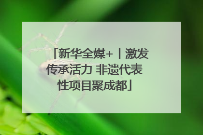新华全媒+丨激发传承活力 非遗代表性项目聚成都