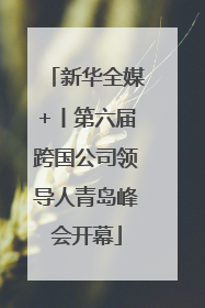 新华全媒+丨第六届跨国公司领导人青岛峰会开幕