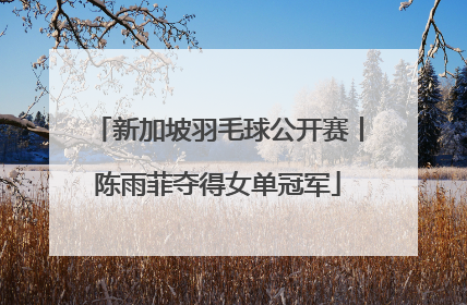 新加坡羽毛球公开赛丨陈雨菲夺得女单冠军