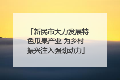 新民市大力发展特色瓜果产业 为乡村振兴注入强劲动力