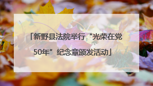 新野县法院举行“光荣在党50年”纪念章颁发活动