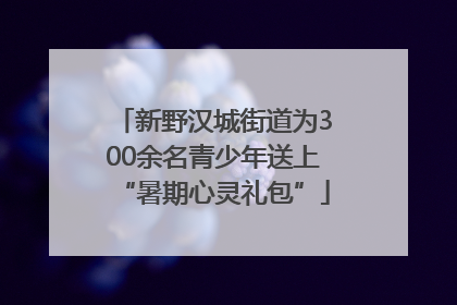 新野汉城街道为300余名青少年送上“暑期心灵礼包”