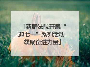 新野法院开展“迎七一”系列活动 凝聚奋进力量