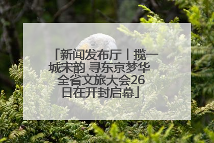 新闻发布厅丨揽一城宋韵 寻东京梦华 全省文旅大会26日在开封启幕