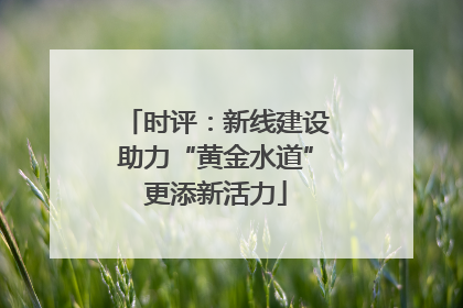 时评：新线建设助力“黄金水道”更添新活力
