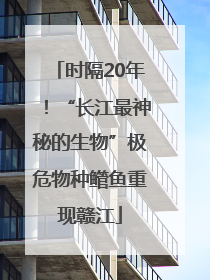 时隔20年！“长江最神秘的生物”极危物种鳤鱼重现赣江