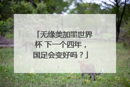 无缘美加墨世界杯 下一个四年，国足会变好吗？