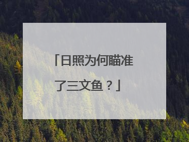 日照为何瞄准了三文鱼？