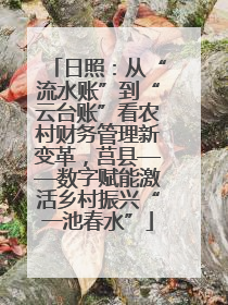 日照：从“流水账”到“云台账”看农村财务管理新变革，莒县——数字赋能激活乡村振兴“一池春水”