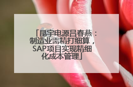 昆宇电源吕春燕：制造业需精打细算，SAP项目实现精细化成本管理