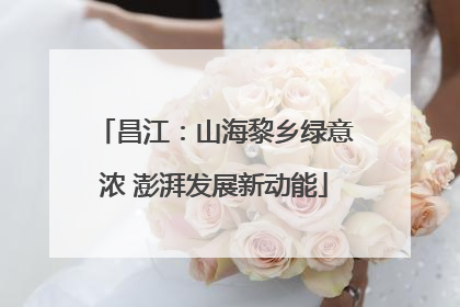 昌江：山海黎乡绿意浓 澎湃发展新动能