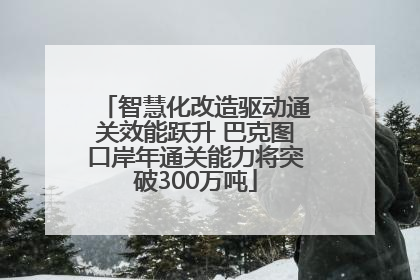 智慧化改造驱动通关效能跃升 巴克图口岸年通关能力将突破300万吨