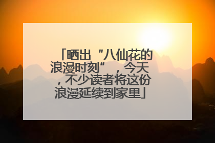 晒出“八仙花的浪漫时刻”，今天，不少读者将这份浪漫延续到家里